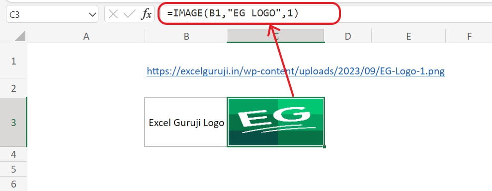 Excel IMAGE Function Example 2